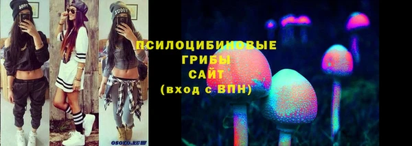 ПСИЛОЦИБИНОВЫЕ ГРИБЫ Армянск