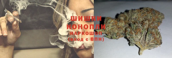 крисы Аркадак