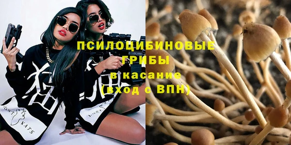 крисы Аркадак