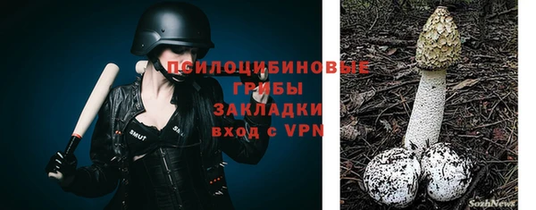 бошки Арсеньев